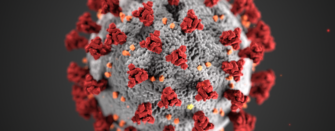 corona a deadly virus