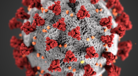 corona a deadly virus