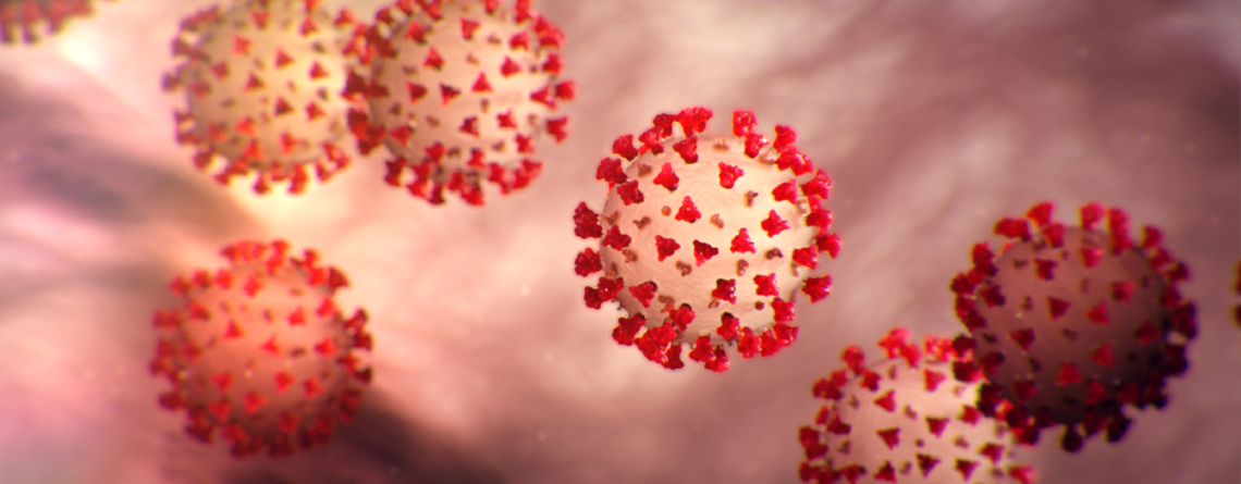 What is a coronavirus?
