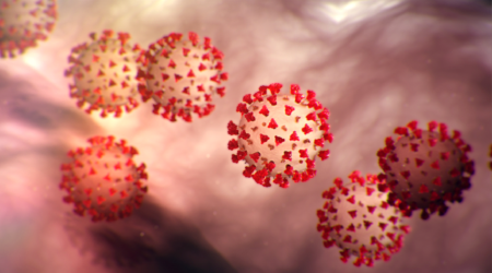 What is a coronavirus?