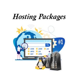 Hosting dedicated - reliable Hosting, HostGator India,